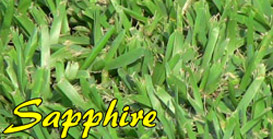 Sapphire (B12) Grass & Turf