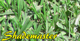 ShadeMaster Grass & Turf